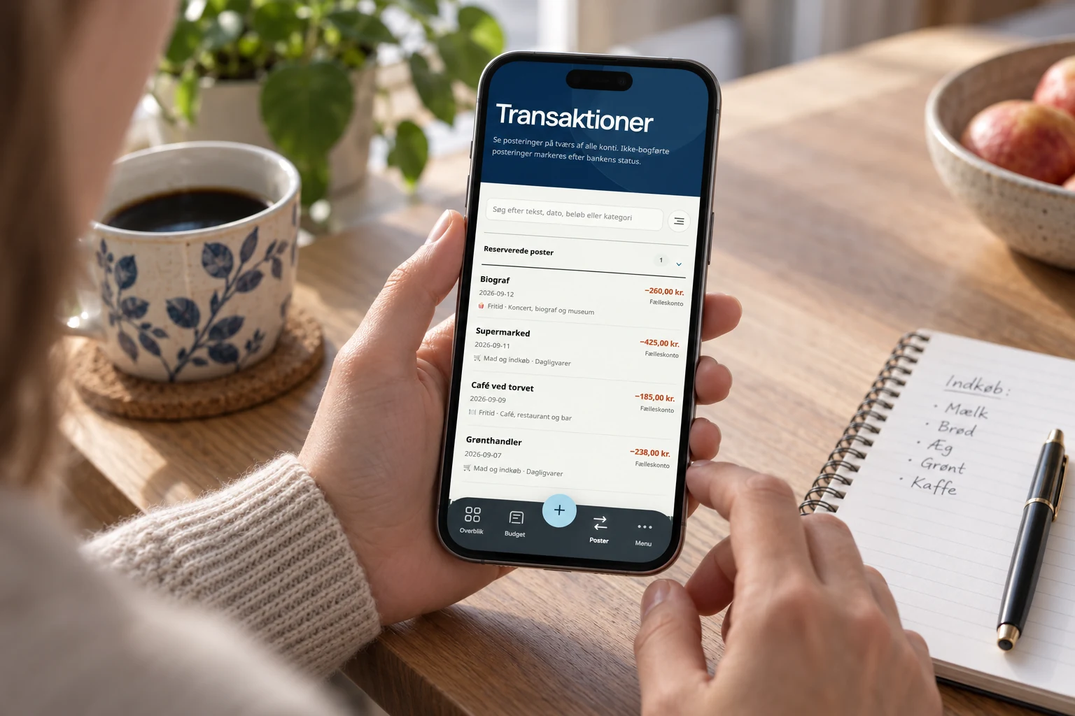 RI Finance — transaktioner og kategorier